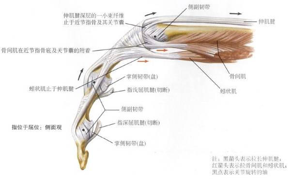 QQ图片20151212004109.jpg