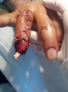 2345_image_file_copy_1.jpg