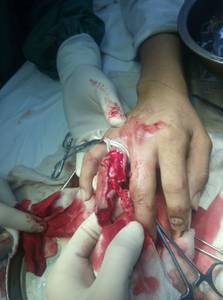 2345_image_file_copy_4.jpg