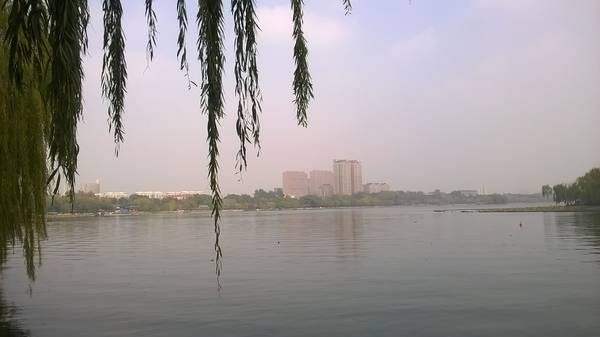WP_20151114_13_19_42_Pro.jpg
