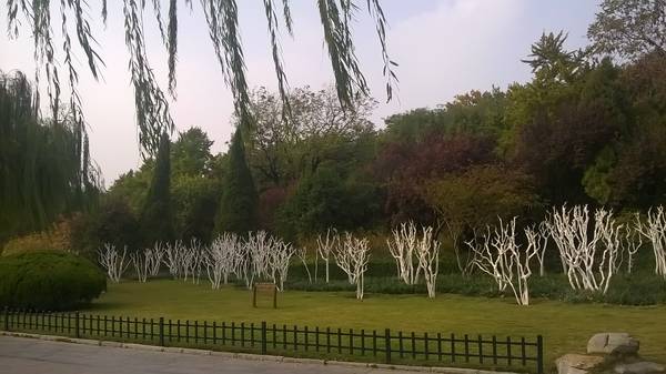 WP_20151114_14_08_55_Pro.jpg