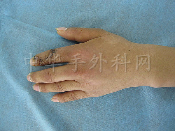 IMG_0136_副本.jpg