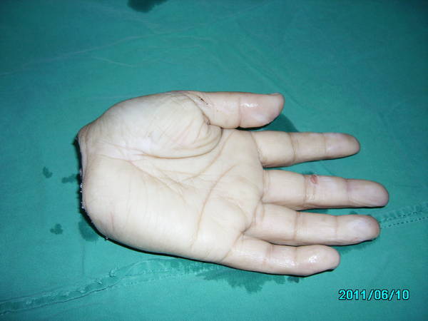 RIMG2980.JPG