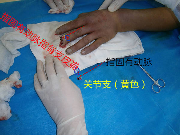 P3050053_副本.jpg