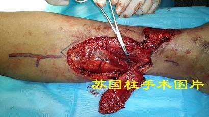 20150409_114040.jpg
