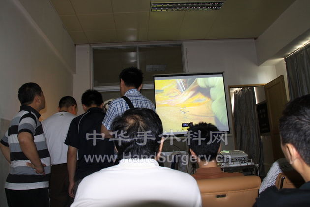 丁教授解剖投影.jpg