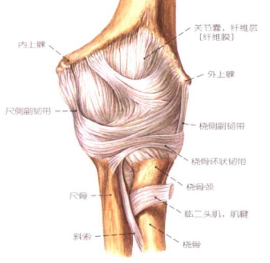 QQ截图20160718131407.jpg