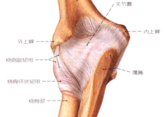 QQ截图20160718131438.jpg