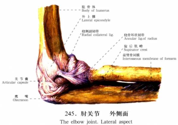 QQ截图20160718142631.jpg