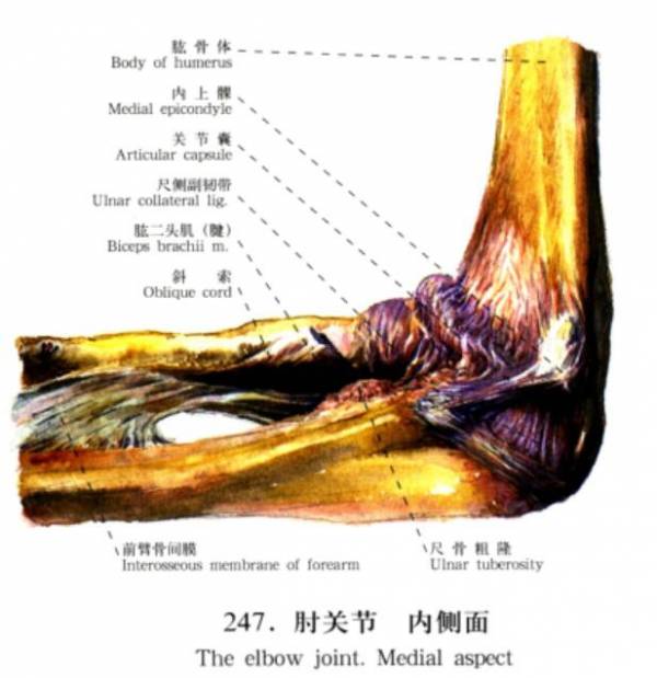 QQ截图20160718142727.jpg
