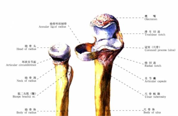 QQ截图20160718142649.jpg