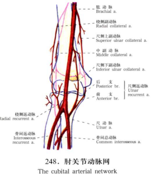 QQ截图20160718142749.jpg