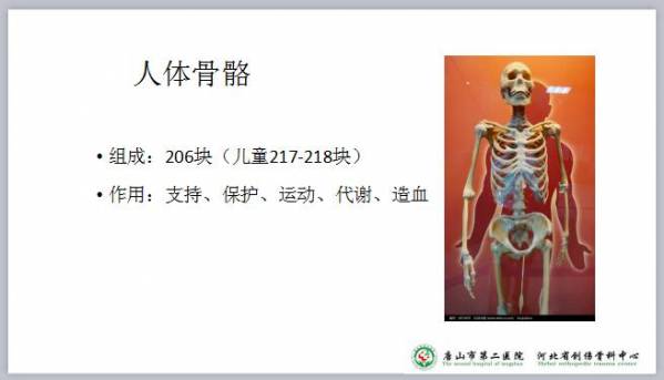 2016-8-3yy直播课件_12.jpg