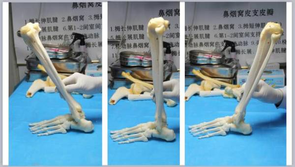 2016-8-3yy直播课件_18.jpg