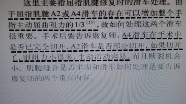 滑车的理论有点新颖！不过有道理