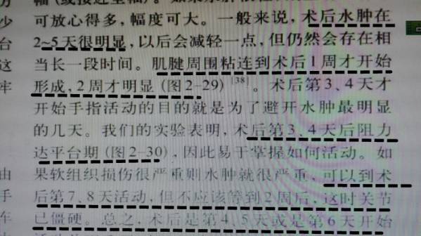 粘连形成时期