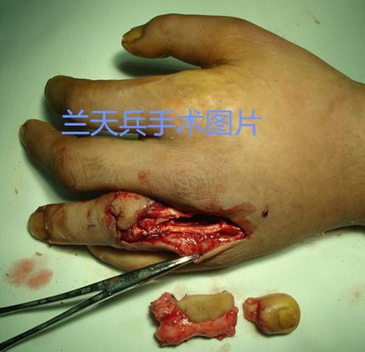 邵勇B15_副本.jpg