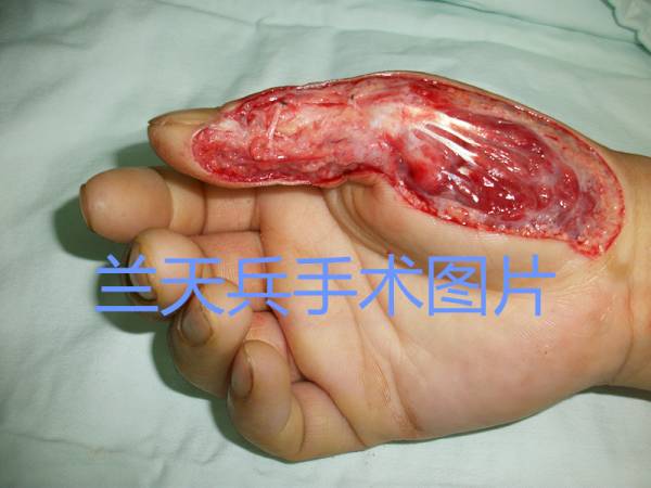 陈玉梅B6_副本.jpg