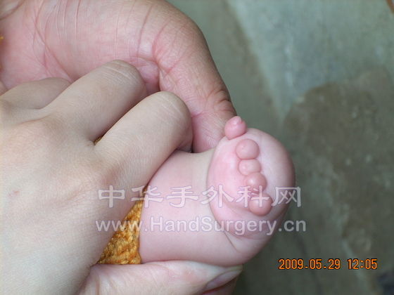 DSCN3996.jpg